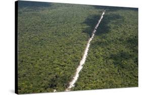 Main Highway of Guyana Cutting Through the Rainforest, Guyana, South America-Mick Baines & Maren Reichelt-Stretched Canvas