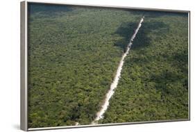 Main Highway of Guyana Cutting Through the Rainforest, Guyana, South America-Mick Baines & Maren Reichelt-Framed Photographic Print