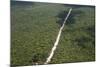 Main Highway of Guyana Cutting Through the Rainforest, Guyana, South America-Mick Baines & Maren Reichelt-Mounted Photographic Print