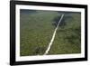 Main Highway of Guyana Cutting Through the Rainforest, Guyana, South America-Mick Baines & Maren Reichelt-Framed Photographic Print