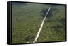 Main Highway of Guyana Cutting Through the Rainforest, Guyana, South America-Mick Baines & Maren Reichelt-Framed Stretched Canvas