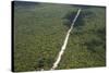 Main Highway of Guyana Cutting Through the Rainforest, Guyana, South America-Mick Baines & Maren Reichelt-Stretched Canvas