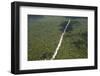 Main Highway of Guyana Cutting Through the Rainforest, Guyana, South America-Mick Baines & Maren Reichelt-Framed Photographic Print