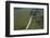 Main Highway of Guyana Cutting Through the Rainforest, Guyana, South America-Mick Baines & Maren Reichelt-Framed Photographic Print