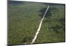 Main Highway of Guyana Cutting Through the Rainforest, Guyana, South America-Mick Baines & Maren Reichelt-Mounted Photographic Print
