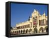 Main Market Square and the Cloth Hall, Cracow (Krakow), Poland-Steve Vidler-Framed Stretched Canvas