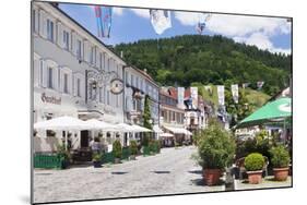 Main Road, Wolfach, Kinzigtal Valley, Black Forest, Baden Wurttemberg, Germany, Europe-Markus-Mounted Photographic Print