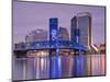 Main Street Bridge and Skyline, Jacksonville, Florida, United States of America, North America-Richard Cummins-Mounted Photographic Print