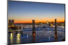 Main Street Bridge, St. Johns River. Jacksonville, Florida.-Richard & Susan Day-Mounted Photographic Print