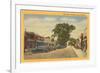 Main Street, Dennisport, Cape Cod, Mass.-null-Framed Premium Giclee Print