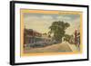 Main Street, Dennisport, Cape Cod, Mass.-null-Framed Art Print