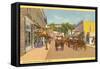 Main Street, Mackinac Island, Michigan-null-Framed Stretched Canvas