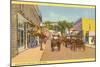 Main Street, Mackinac Island, Michigan-null-Mounted Art Print