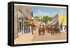 Main Street, Mackinac Island, Michigan-null-Framed Stretched Canvas