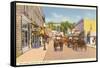 Main Street, Mackinac Island, Michigan-null-Framed Stretched Canvas