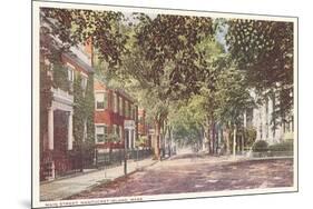 Main Street, Nantucket, Massachusetts-null-Mounted Art Print