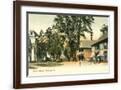 Brown Frame