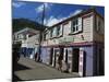 Main Street, Road Town, Tortola, British Virgin Islands, West Indies, Caribbean, Central America-Ken Gillham-Mounted Photographic Print