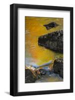 Maine, Acadia National Park, Abstract of Rocks and River-Judith Zimmerman-Framed Photographic Print