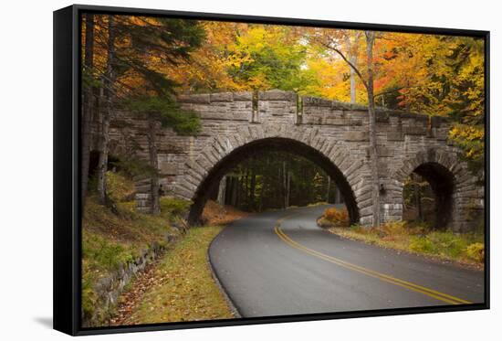 Maine, Acadia National Park, Carriage Road in Acadia National Park-Joanne Wells-Framed Stretched Canvas