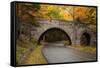 Maine, Acadia National Park, Carriage Road in Acadia National Park-Joanne Wells-Framed Stretched Canvas