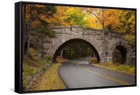 Maine, Acadia National Park, Carriage Road in Acadia National Park-Joanne Wells-Framed Stretched Canvas