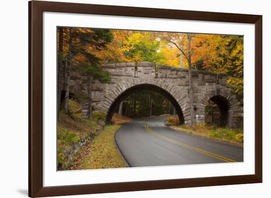 Maine, Acadia National Park, Carriage Road in Acadia National Park-Joanne Wells-Framed Photographic Print