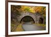 Maine, Acadia National Park, Carriage Road in Acadia National Park-Joanne Wells-Framed Photographic Print