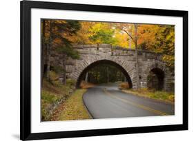 Maine, Acadia National Park, Carriage Road in Acadia National Park-Joanne Wells-Framed Photographic Print