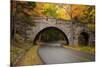 Maine, Acadia National Park, Carriage Road in Acadia National Park-Joanne Wells-Mounted Photographic Print