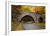 Maine, Acadia National Park, Carriage Road in Acadia National Park-Joanne Wells-Framed Photographic Print