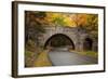 Maine, Acadia National Park, Carriage Road in Acadia National Park-Joanne Wells-Framed Photographic Print