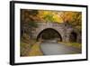 Maine, Acadia National Park, Carriage Road in Acadia National Park-Joanne Wells-Framed Photographic Print