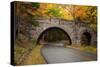 Maine, Acadia National Park, Carriage Road in Acadia National Park-Joanne Wells-Stretched Canvas