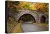 Maine, Acadia National Park, Carriage Road in Acadia National Park-Joanne Wells-Stretched Canvas