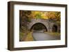 Maine, Acadia National Park, Carriage Road in Acadia National Park-Joanne Wells-Framed Photographic Print