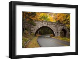 Maine, Acadia National Park, Carriage Road in Acadia National Park-Joanne Wells-Framed Photographic Print