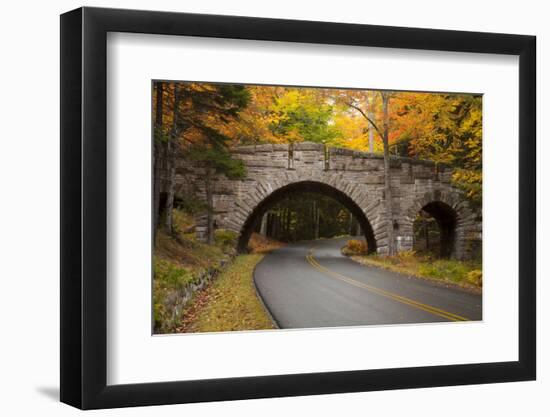 Maine, Acadia National Park, Carriage Road in Acadia National Park-Joanne Wells-Framed Photographic Print