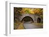 Maine, Acadia National Park, Carriage Road in Acadia National Park-Joanne Wells-Framed Photographic Print