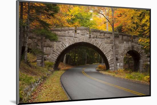 Maine, Acadia National Park, Carriage Road in Acadia National Park-Joanne Wells-Mounted Photographic Print