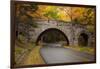 Maine, Acadia National Park, Carriage Road in Acadia National Park-Joanne Wells-Framed Premium Photographic Print