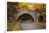 Maine, Acadia National Park, Carriage Road in Acadia National Park-Joanne Wells-Framed Photographic Print