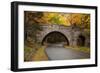 Maine, Acadia National Park, Carriage Road in Acadia National Park-Joanne Wells-Framed Photographic Print