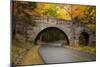 Maine, Acadia National Park, Carriage Road in Acadia National Park-Joanne Wells-Mounted Photographic Print