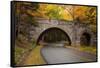 Maine, Acadia National Park, Carriage Road in Acadia National Park-Joanne Wells-Framed Stretched Canvas