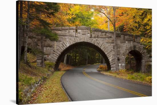 Maine, Acadia National Park, Carriage Road in Acadia National Park-Joanne Wells-Stretched Canvas