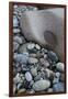 Maine, Acadia National Park, Cobbled Rocks on Hunters Beach-Judith Zimmerman-Framed Photographic Print