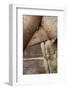 Maine, Acadia National Park. Detail of Wigwam Structure-Judith Zimmerman-Framed Photographic Print