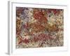 Maine, Acadia National Park, Fall Colored Shrubs and Lichen Near Otter Point-John Barger-Framed Photographic Print