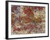 Maine, Acadia National Park, Fall Colored Shrubs and Lichen Near Otter Point-John Barger-Framed Photographic Print